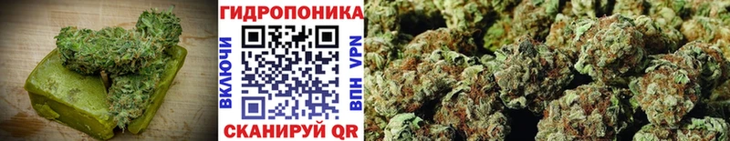 купить   Новоржев  Canna-Cookies марихуана 