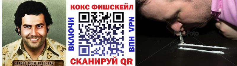 Кокаин FishScale купить наркотик Новоржев