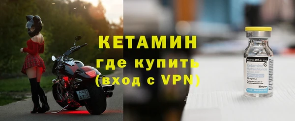 трава Тавда