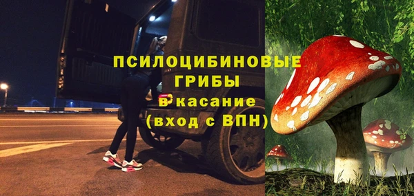 трава Тавда