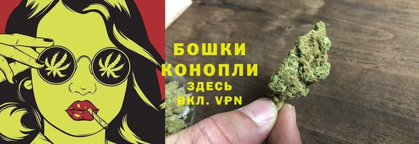 не бодяженный Сясьстрой