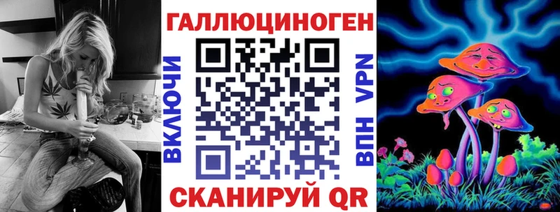 blacksprut tor  Новоржев  Псилоцибиновые грибы мицелий  купить  цена 